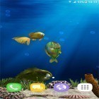 Neben Live Wallpapern für Android Süßer Schmetterling kannst du die apk des Hintergrunds Aquarium-Fische 3D  gratis herunterladen.