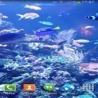 Neben Live Wallpapern für Android Mondlicht  kannst du die apk des Hintergrunds Aquarium HD 2 gratis herunterladen.