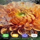 Neben Live Wallpapern für Android Feenmädchen HD  kannst du die apk des Hintergrunds Herbst- und Winterblumen  gratis herunterladen.