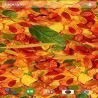 Neben Live Wallpapern für Android Süße Liebe  kannst du die apk des Hintergrunds Herbstlaub  gratis herunterladen.