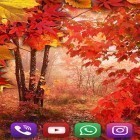Neben Live Wallpapern für Android Einfache Analoguhr kannst du die apk des Hintergrunds Herbstregen  gratis herunterladen.