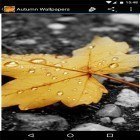 Neben Live Wallpapern für Android Fidget Spinner  kannst du die apk des Hintergrunds Herbst  gratis herunterladen.
