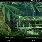 Neben Live Wallpapern für Android Schwäne: Leuchten kannst du die apk des Hintergrunds Bambus-Haus 3D  gratis herunterladen.