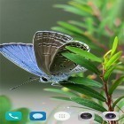 Neben Live Wallpapern für Android Süßer Schmetterling kannst du die apk des Hintergrunds Schöner Sommer  gratis herunterladen.
