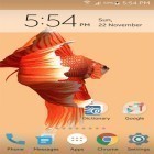 Neben Live Wallpapern für Android Sonniger Wald  kannst du die apk des Hintergrunds Betta Fisch 3D  gratis herunterladen.