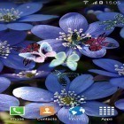 Neben Live Wallpapern für Android Lila Blumen kannst du die apk des Hintergrunds Schmetterling  gratis herunterladen.