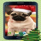 Neben Live Wallpapern für Android Husky kannst du die apk des Hintergrunds Weihnachtshunde  gratis herunterladen.