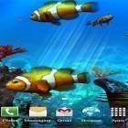 Neben Live Wallpapern für Android UFO 3D kannst du die apk des Hintergrunds Clownfisch Aquarium 3D  gratis herunterladen.