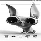 Neben Live Wallpapern für Android Weltraum Galaxie 3D  kannst du die apk des Hintergrunds Verrückter Hund  gratis herunterladen.