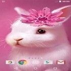 Neben Live Wallpapern für Android Schöner Sommer  kannst du die apk des Hintergrunds Niedliche Tiere  gratis herunterladen.