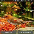 Neben Live Wallpapern für Android Kinetik kannst du die apk des Hintergrunds Niedliche Vögel  gratis herunterladen.