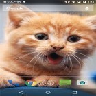 Neben Live Wallpapern für Android Streifen ICS Pro kannst du die apk des Hintergrunds Niedliche Katze  gratis herunterladen.