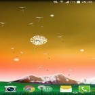 Neben Live Wallpapern für Android Sonnenaufgang kannst du die apk des Hintergrunds Pusteblume  gratis herunterladen.