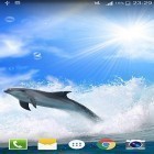 Neben Live Wallpapern für Android Majestätisches Einhorn  kannst du die apk des Hintergrunds Delphin  gratis herunterladen.