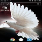 Neben Live Wallpapern für Android Weihnachts-Kamin  kannst du die apk des Hintergrunds Taube 3D  gratis herunterladen.