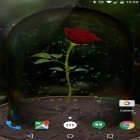 Neben Live Wallpapern für Android Autos kannst du die apk des Hintergrunds Verzauberte Rose  gratis herunterladen.