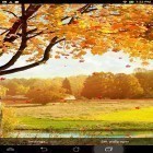 Neben Live Wallpapern für Android Farben des Regenbogens kannst du die apk des Hintergrunds Fallende Blätter  gratis herunterladen.