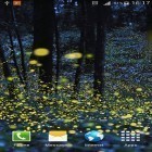 Neben Live Wallpapern für Android Ein einsamer Baum kannst du die apk des Hintergrunds Glühwürmchen  gratis herunterladen.