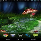 Neben Live Wallpapern für Android Seifenblasen kannst du die apk des Hintergrunds Glühwürmchen  gratis herunterladen.