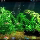 Neben Live Wallpapern für Android Apokalypse 3D  kannst du die apk des Hintergrunds Aquarium HD  gratis herunterladen.