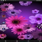 Neben Live Wallpapern für Android Moderne Uhr kannst du die apk des Hintergrunds Blumen  gratis herunterladen.
