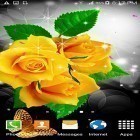 Neben Live Wallpapern für Android Epische Lavahöhle  kannst du die apk des Hintergrunds Blumen  gratis herunterladen.