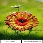 Neben Live Wallpapern für Android Traumhafte Nacht kannst du die apk des Hintergrunds Blumenuhr  gratis herunterladen.