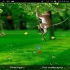 Neben Live Wallpapern für Android Süße Katzen kannst du die apk des Hintergrunds Lustiger Affe  gratis herunterladen.