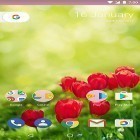 Neben Live Wallpapern für Android Kleine Sommerblumen kannst du die apk des Hintergrunds Garten  gratis herunterladen.