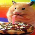 Neben Live Wallpapern für Android Pink  kannst du die apk des Hintergrunds Hamster gratis herunterladen.