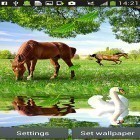 Neben Live Wallpapern für Android Polyinsel  kannst du die apk des Hintergrunds Pferde  gratis herunterladen.