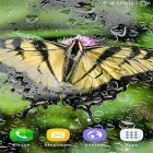 Neben Live Wallpapern für Android Koi 3D kannst du die apk des Hintergrunds Makro Schmetterlinge  gratis herunterladen.