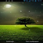 Neben Live Wallpapern für Android Liebesbaum kannst du die apk des Hintergrunds Mondlicht  gratis herunterladen.