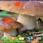 Neben Live Wallpapern für Android  kannst du die apk des Hintergrunds Pilze  gratis herunterladen.
