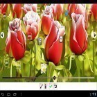 Neben Live Wallpapern für Android Apokalypse 3D  kannst du die apk des Hintergrunds Meine Blume 3D  gratis herunterladen.