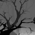 Neben Live Wallpapern für Android Schöner See  kannst du die apk des Hintergrunds Mystischer Wald  gratis herunterladen.