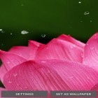 Neben Live Wallpapern für Android Schnurrapie kannst du die apk des Hintergrunds Natur  gratis herunterladen.