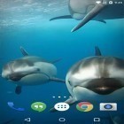 Neben Live Wallpapern für Android Valentinstag kannst du die apk des Hintergrunds Ozean 3D: Delphin  gratis herunterladen.