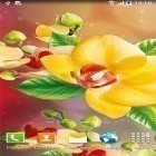 Neben Live Wallpapern für Android Lotus Teich kannst du die apk des Hintergrunds Orchideen  gratis herunterladen.