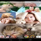 Lade Fotowand FX  für Android und andere kostenlose Sony Ericsson W302 Live Wallpaper herunter.