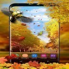 Neben Live Wallpapern für Android Wasser Galaxy  kannst du die apk des Hintergrunds Picturesquare Natur  gratis herunterladen.