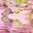 Neben Live Wallpapern für Android Fantasy Sakura kannst du die apk des Hintergrunds Pinker Schmetterling  gratis herunterladen.
