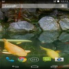 Neben Live Wallpapern für Android Feuerwerke  kannst du die apk des Hintergrunds Teich mit Koi  gratis herunterladen.