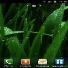 Neben Live Wallpapern für Android Liebe kannst du die apk des Hintergrunds Regen  gratis herunterladen.