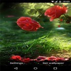 Neben Live Wallpapern für Android Früchte kannst du die apk des Hintergrunds Rote Rose  gratis herunterladen.