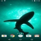 Neben Live Wallpapern für Android Blumen  kannst du die apk des Hintergrunds Haie  gratis herunterladen.