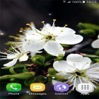 Neben Live Wallpapern für Android Feder kannst du die apk des Hintergrunds Frühlingszeit  gratis herunterladen.