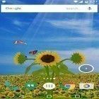 Neben Live Wallpapern für Android Moderne Uhr kannst du die apk des Hintergrunds Sonnenblume 3D  gratis herunterladen.
