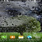 Neben Live Wallpapern für Android Regenbogen kannst du die apk des Hintergrunds Gewitter  gratis herunterladen.