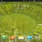 Lade Echtes Wasser  für Android und andere kostenlose Fly Wizard IQ245 Live Wallpaper herunter.